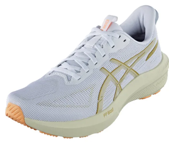 GT-1000 14 von Asics